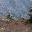 역고드름 이미지