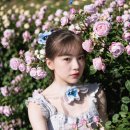 라운드쿠키 네이버블로그
