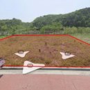 이건환경(1종)