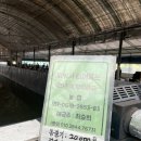 은행나무하우스낚시터 이미지