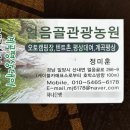 부성건어물