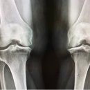 엘사이언스 이미지