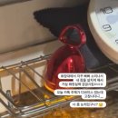 디더블유 | 26년 2월 월간 기록 l 싹싹 긁어서 쓴 화장품 공병 후기