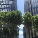 뷰티풀코리아(주) 이미지