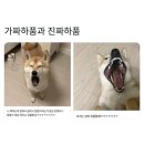 행복해 이미지