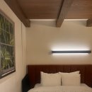 온천단지 이팝나무길 | 제천 리솜포레스트 S25 빌라클린 &amp; 해브나인 스파 온천 워터파크 후기