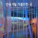 하늘을 담아 내어, 섬세한 빛깔의 갓_GAT | 경북 안동문화예술의전당 9월 가볼만한 전시