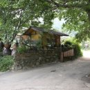 잎새바람 이미지