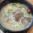 홍어무침 왕갈비탕 도가니탕 공주 맛집 공산성본가