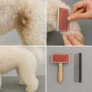 도톨그루밍 이미지