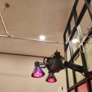 닥터김DK의원 이미지