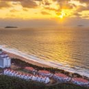 아일랜드리솜 이미지