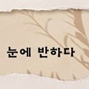 눈에반하다 - 광양시 대림오성로 146-1 | 눈에반하다