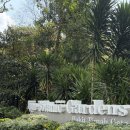 세명금속 | [싱가폴] DAY 3 - 보타닉가든, 플라워돔, 클라우드포레스트, 슈퍼로꼬, 슈퍼트리