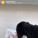 멍이맘&대디 이미지