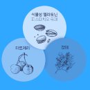 (주)바이오리듬 | 잠 안올때 꿀잠 충분한 수면 생체리듬에 도움주는 메디트리 식물성 멜라토닌 후기
