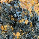 오픈하우스가든 이미지