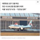 보잉737맥스를 맥스라고 부르지 못하는 이유는 이미지