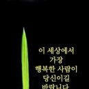 광주패밀리랜드 카라반캠핑장 이미지