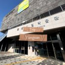 양산시립박물관 | 양산 시립박물관 주말 방문 후기｜초등학생과 알차게 관람한 양산 아이랑 가볼만한 곳