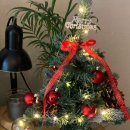 12/6 크리스마스 생화 트리 이미지