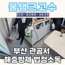 영도부분정비 | 부산 영도구 관공서 해충방제 법정소독 작업 후기