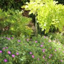 봄날처럼 민박 이미지