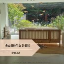 소리하우스 | 여자아이침대 아기 저상형 침대 2층침대 숲소리하우스 마포점 후기