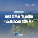 펫엘도라도 | 포항 울릉도 배편 엘도라도 익스프레스호 탑승 후기