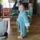 여주-0801 네이버블로그