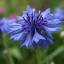 하늘바다 이미지