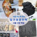 공주예단포장 | 서울 3대 떡집 '압구정 공주떡' 흑임자인절미 가격, 택배,보관법, 주차 팁 총정리 내돈내산 후기
