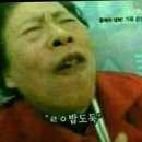 푸꾸옥 여행기 DAY2(북부여행,빈펄사파리,빈원더스,미스터씨푸드)