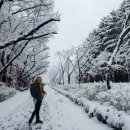 대공원역2번출구 이미지