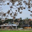 월출산이야기 이미지