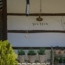 꽃피는 무릉도원 이미지