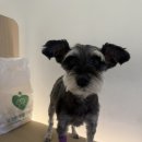 24시 당신의 동물의료센터 이미지