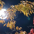 2889/ I won't just go wherever everybody else goes. 이미지