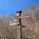 상운산 | 영알⛰️ 쌀바위~가지산 쉬운?코스 🐶