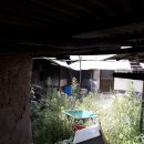 노은면사무소 이미지