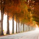 죽동마을 이미지