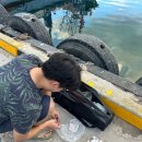 공현진항(활어회센터) 이미지