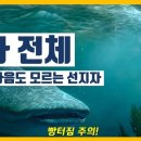 요나 이미지