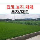 진영부동산중개사무소 이미지