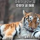 호랑이 이미지