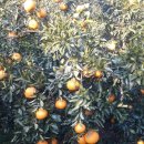 준이농장2 이미지