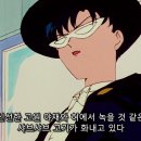 푸치하우스 이미지