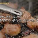 꽃보다돼지