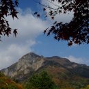 백양사 - 금천구 독산로51길 41 | 백양사