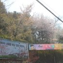 인헌초등학교 이미지